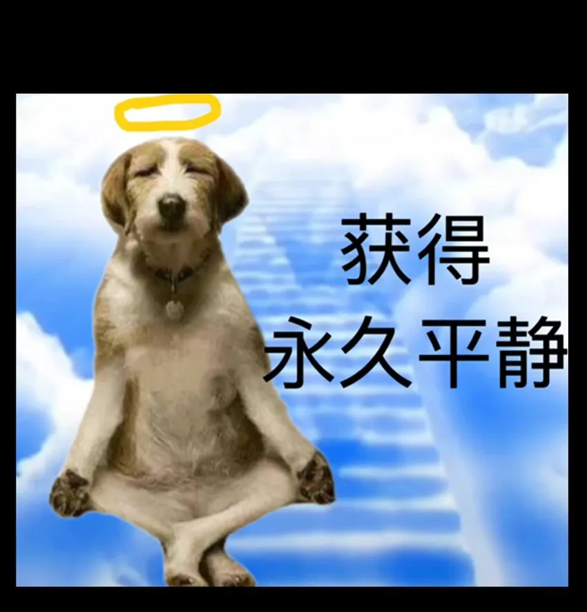 67 打个广告 第117页