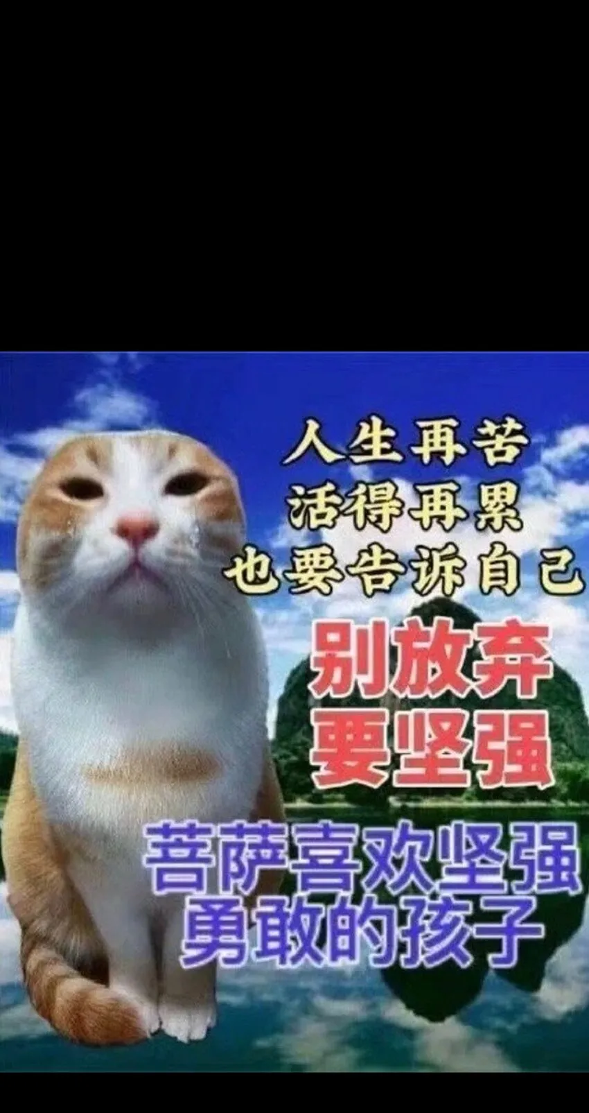 73 我也不知道会这样 第98页