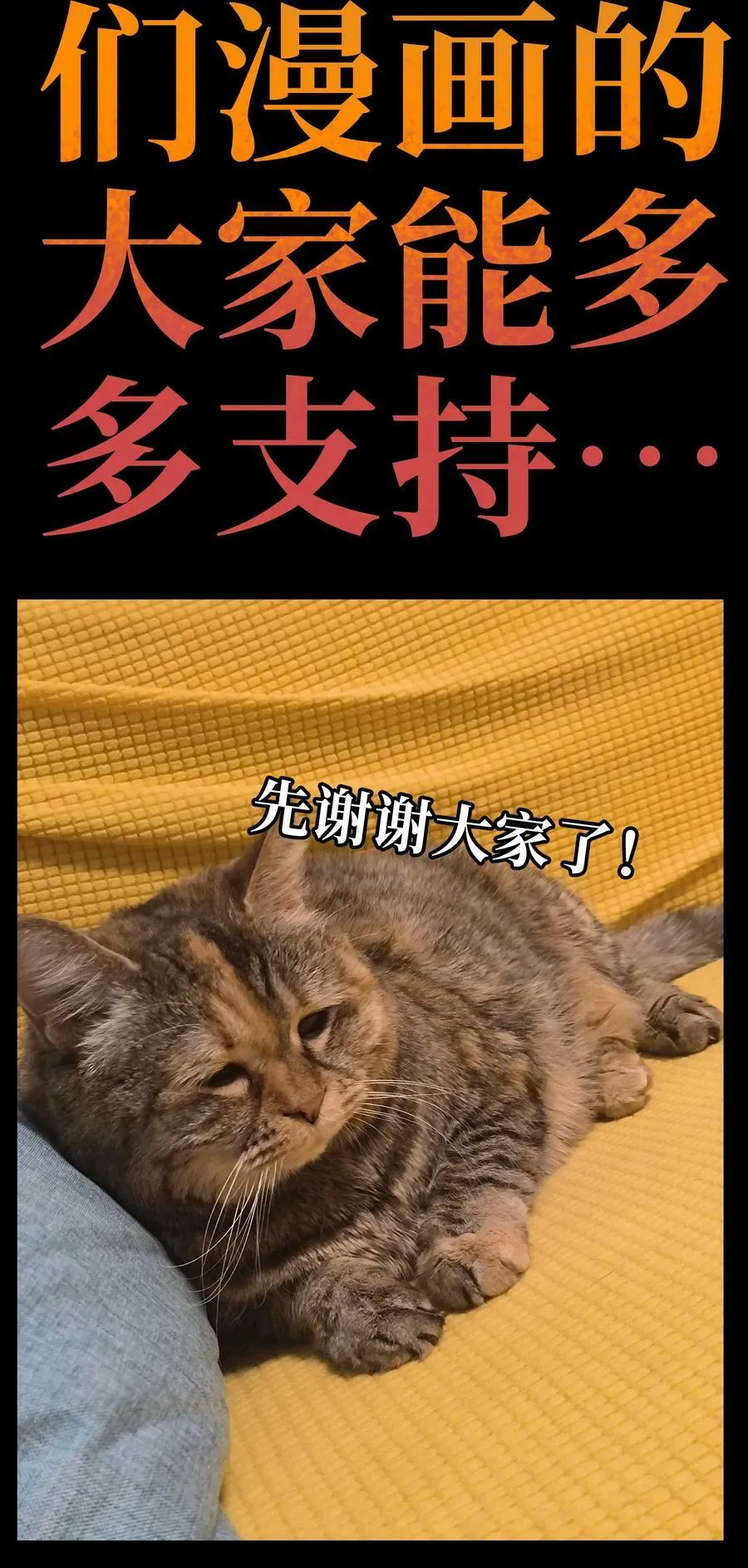 84 告与白 第68页