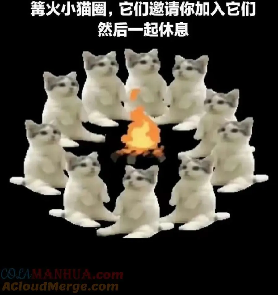 请教条 本周暂停更新 第2页