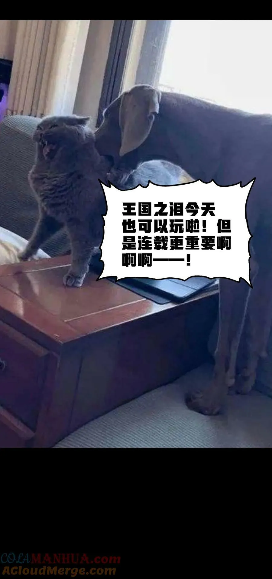 87 玫瑰的样子 第70页