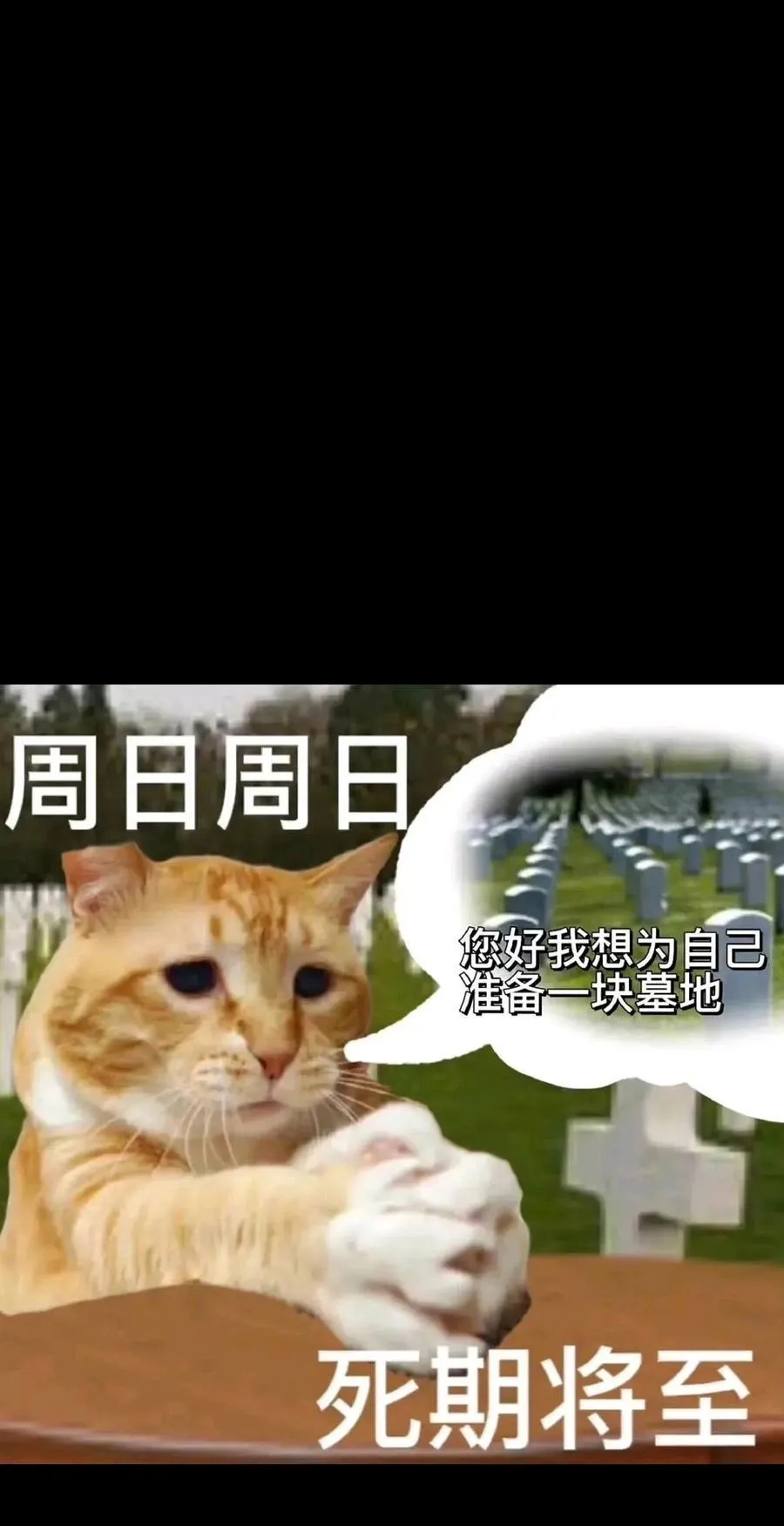 96 格雷厄姆的进食秀 第75页