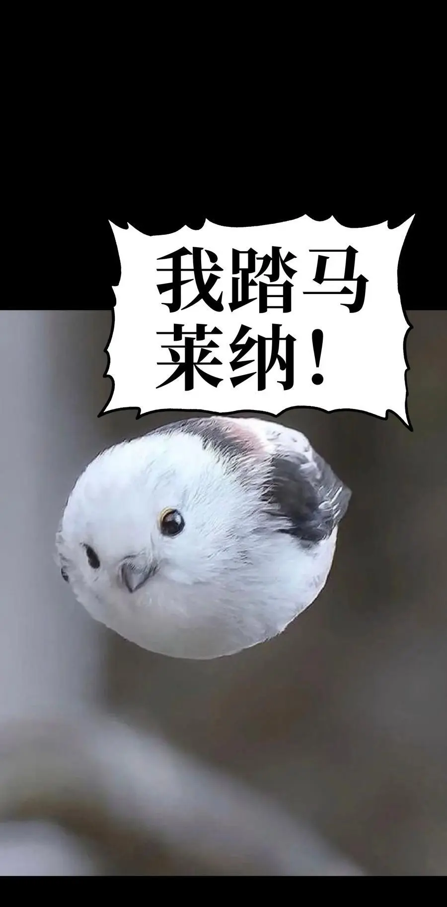 108 你给我闭嘴!! 第68页