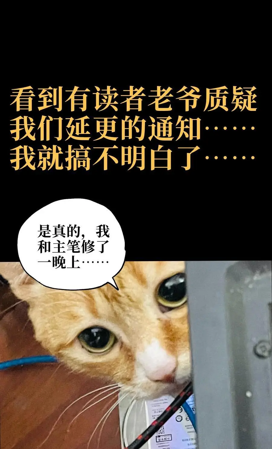111 威廉恺撒 第74页