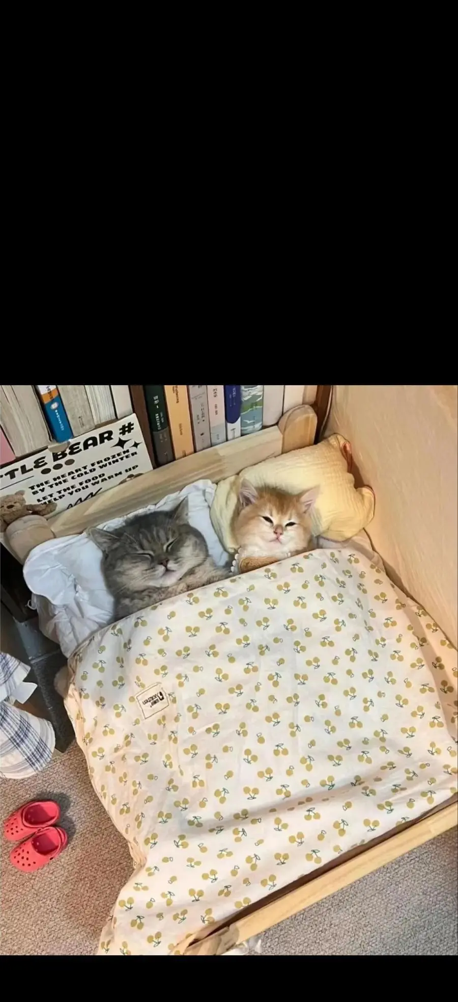 118 不会背叛 第78页