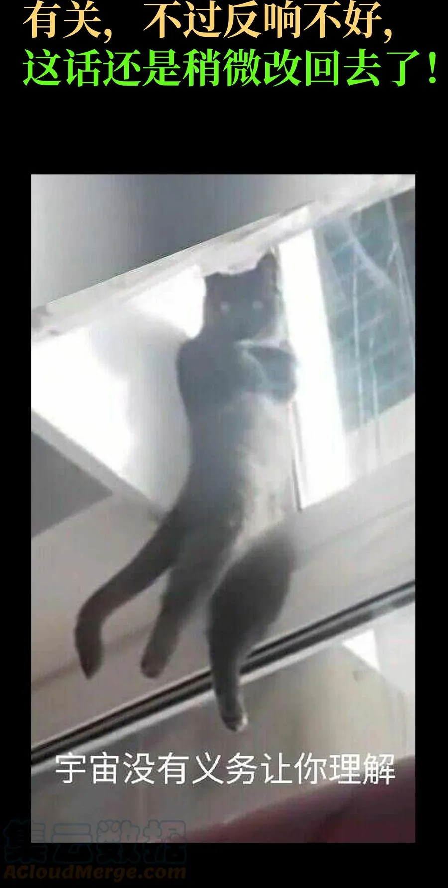 038 追击 第85页