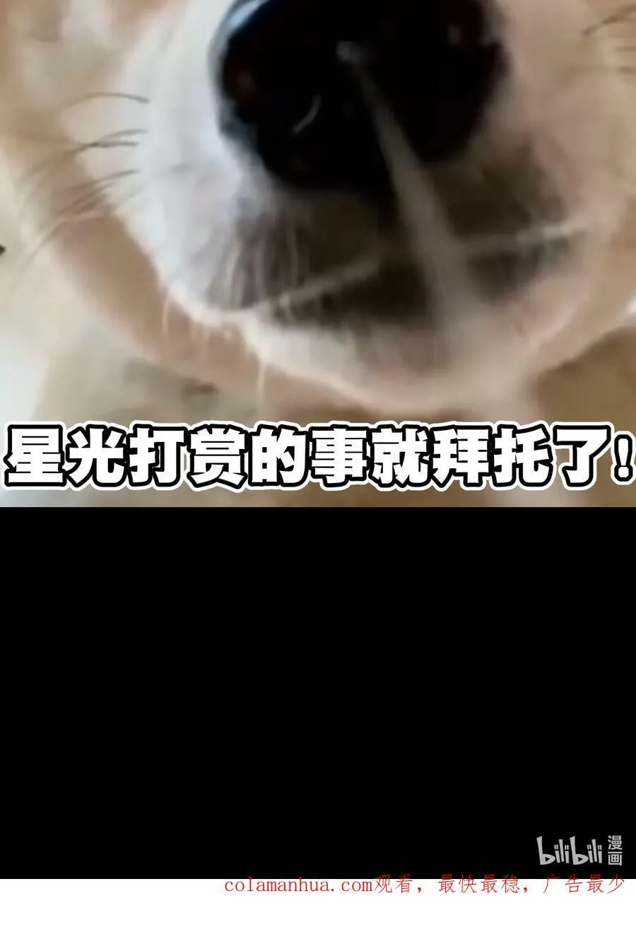88 玫瑰伴随消散 第84页