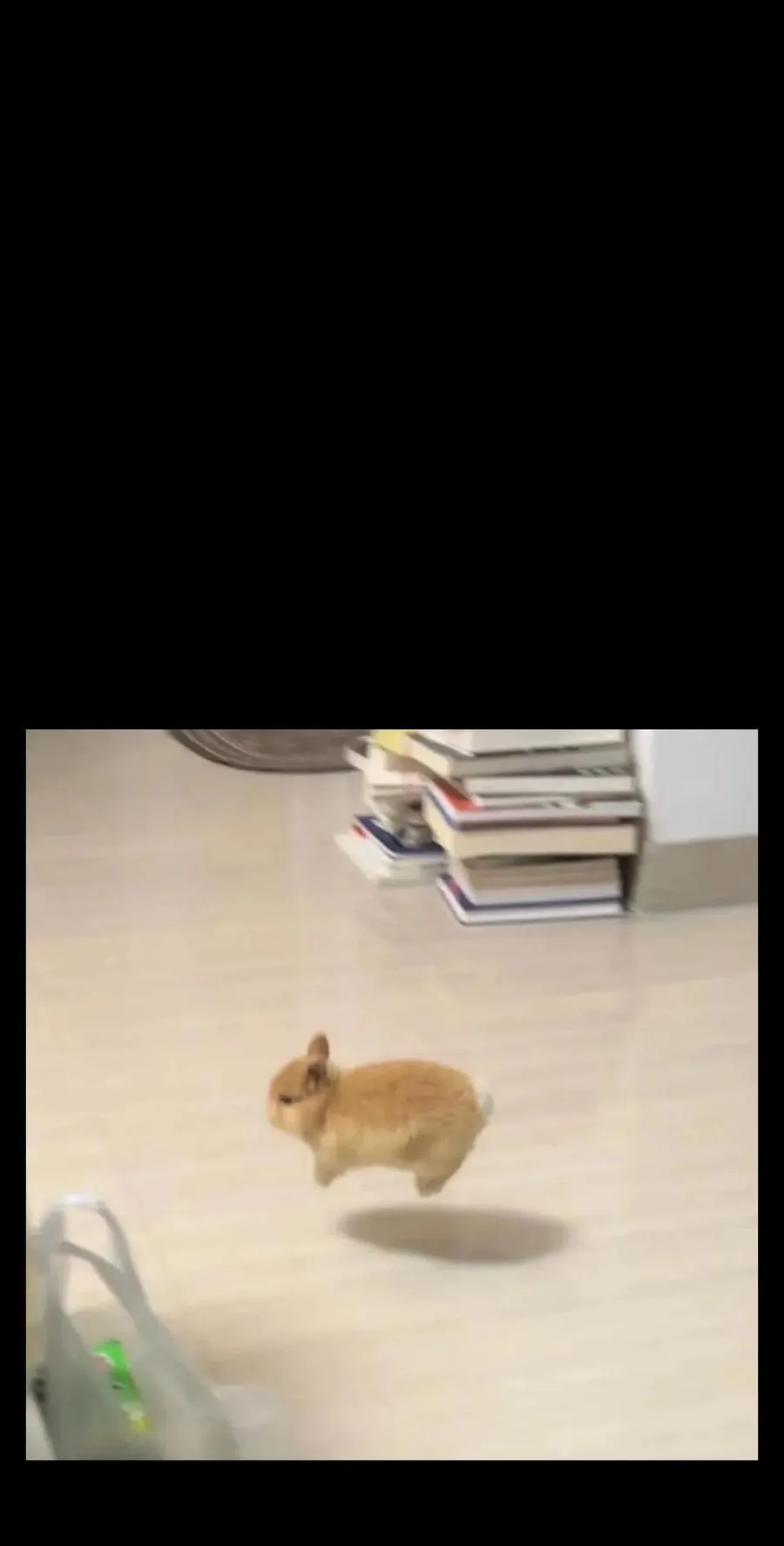 131 感染者 第75页