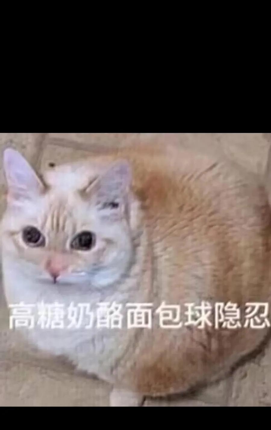 135 老人与树与牧师 第99页
