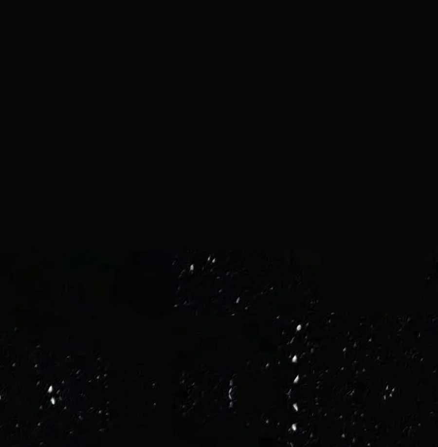 139 森林精灵 第98页