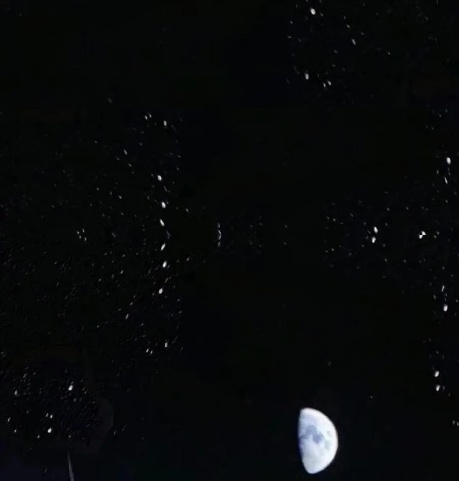 137 森林精灵 第99页