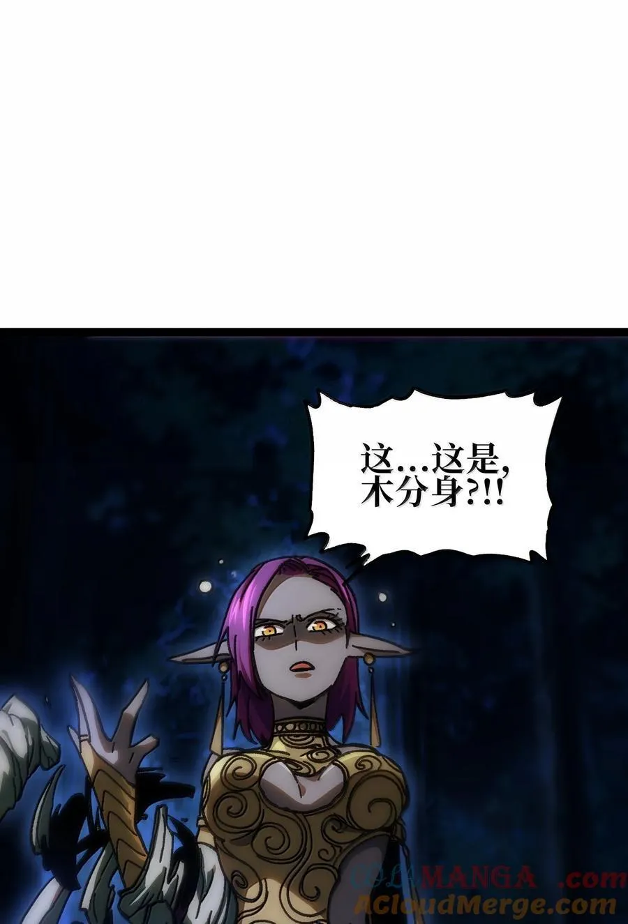 138 文森特 第13页