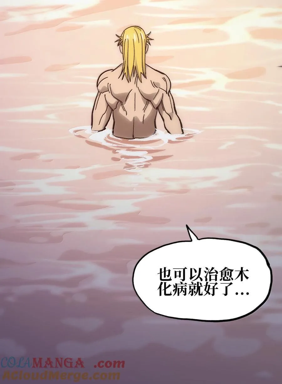 138 文森特 第37页