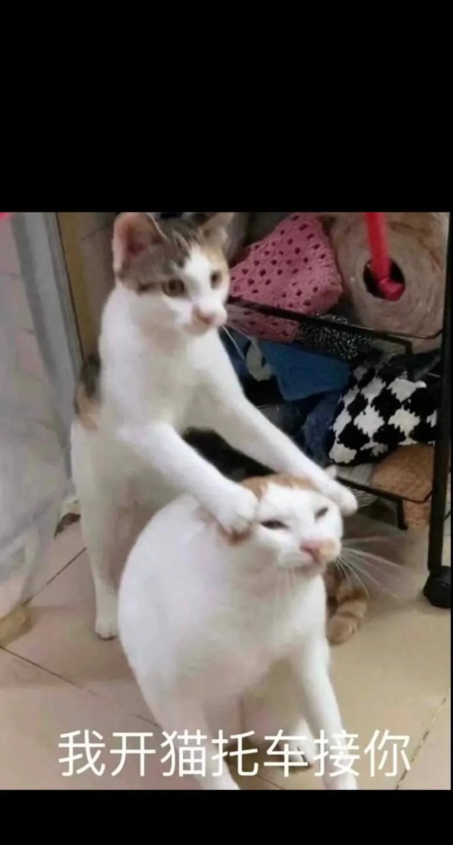 148 你终究不是恺撒 第71页