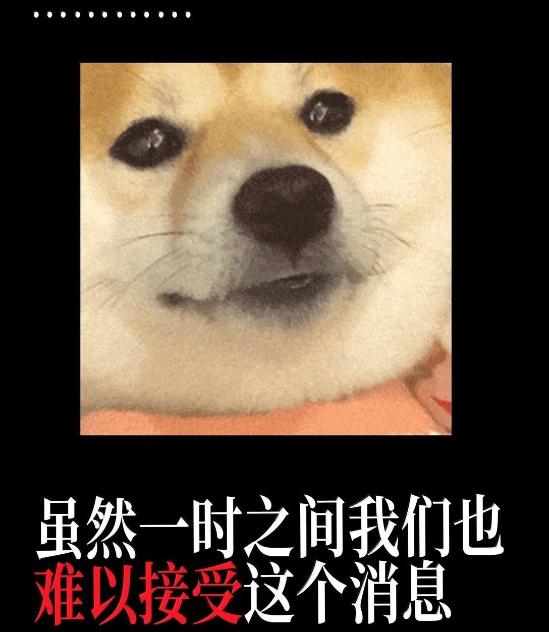 151 【新特典】贡金 第2页