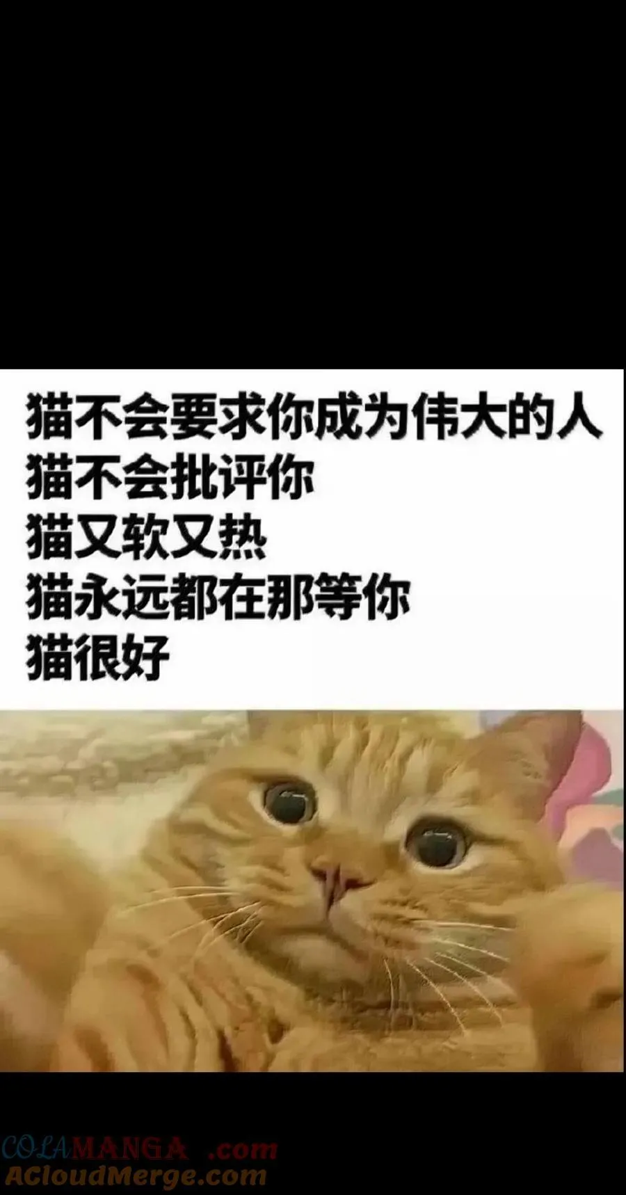 154 【新特典】不合格的王 第85页