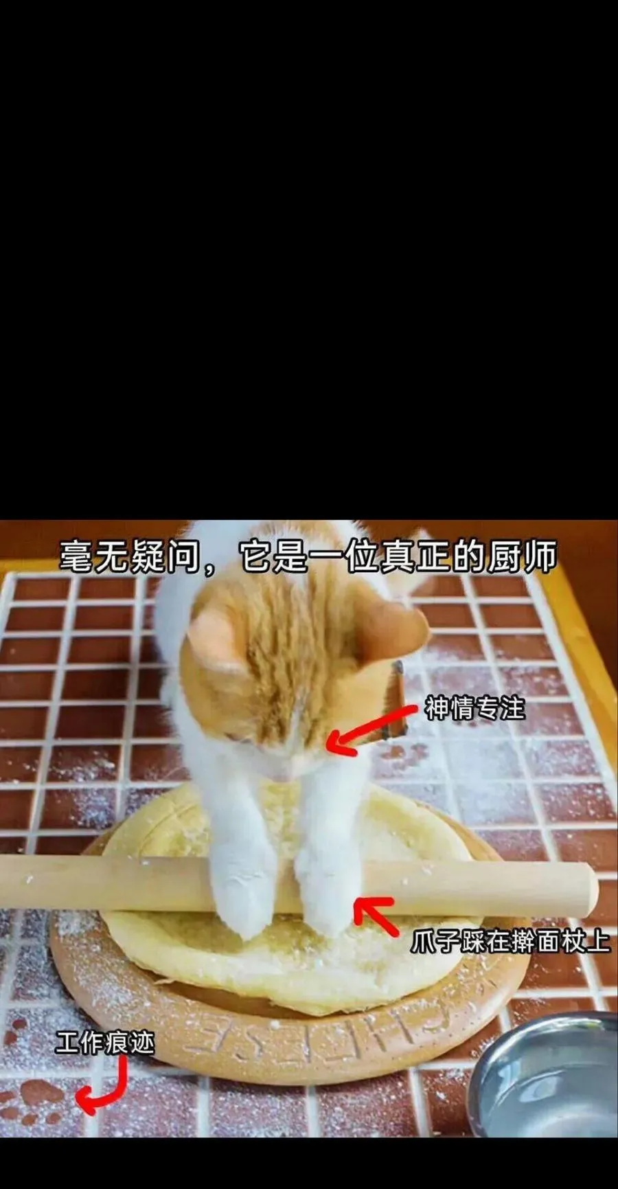 157 【番外】应战与她-上 第95页