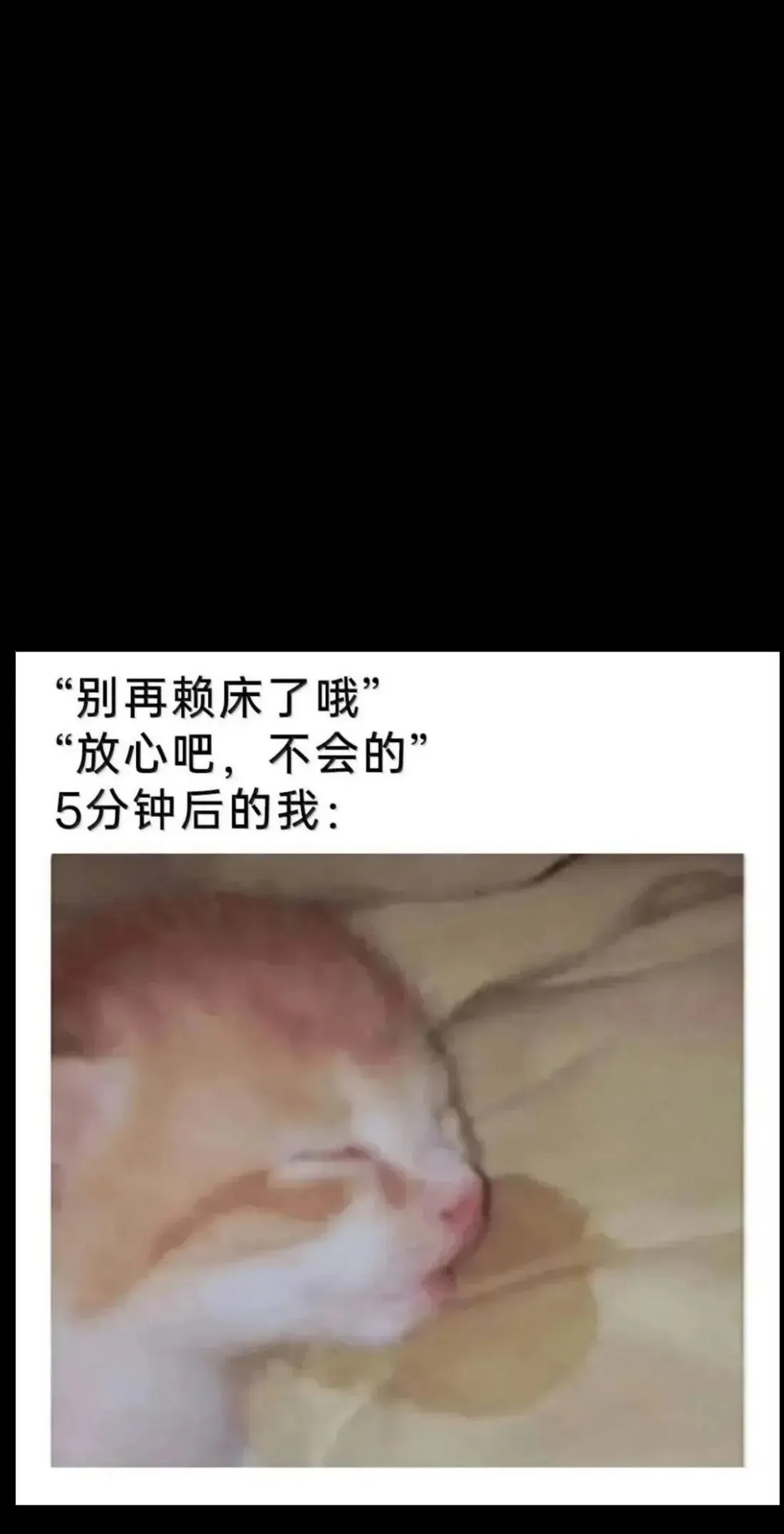 163 是否婚配？ 第91页