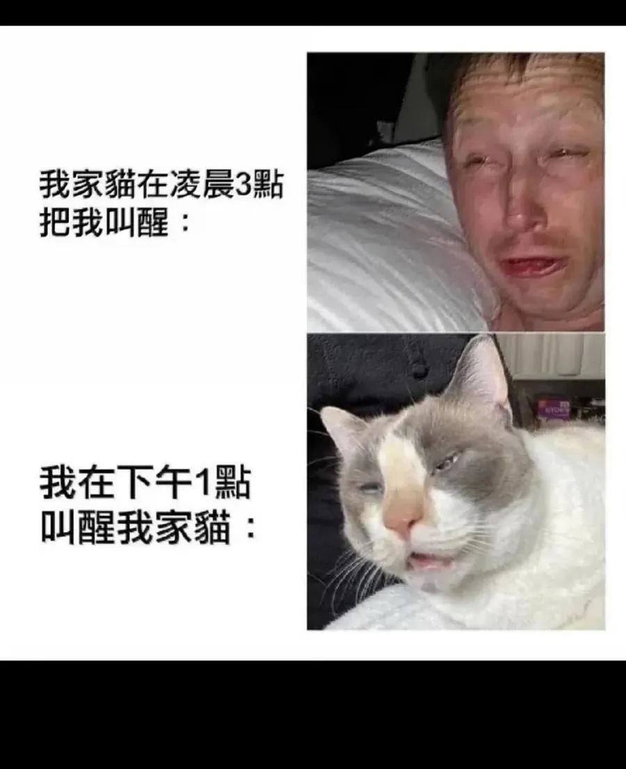 161 【新特典】难得的徒弟 第77页