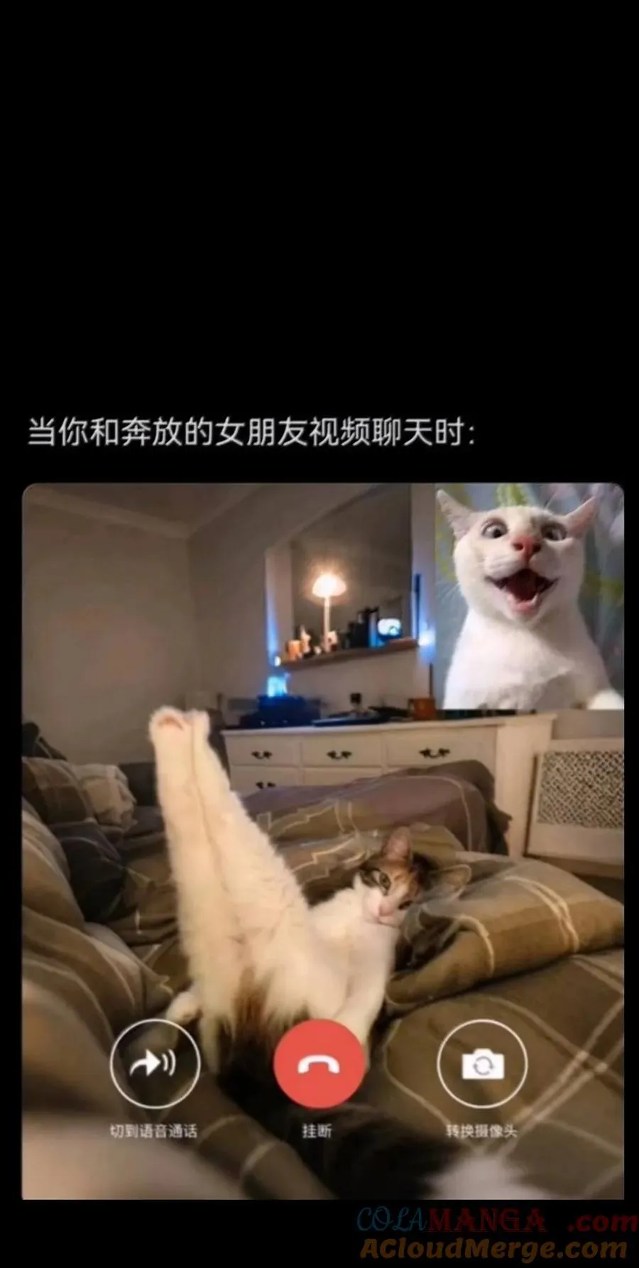 171 文森特夫人？！ 第91页