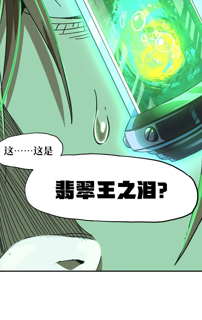 031 翡翠王之泪 第36页