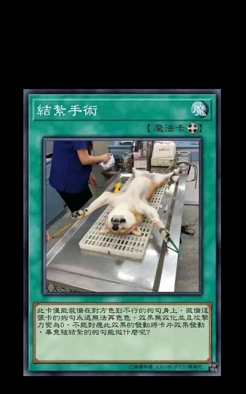 030 让个路！ 第69页