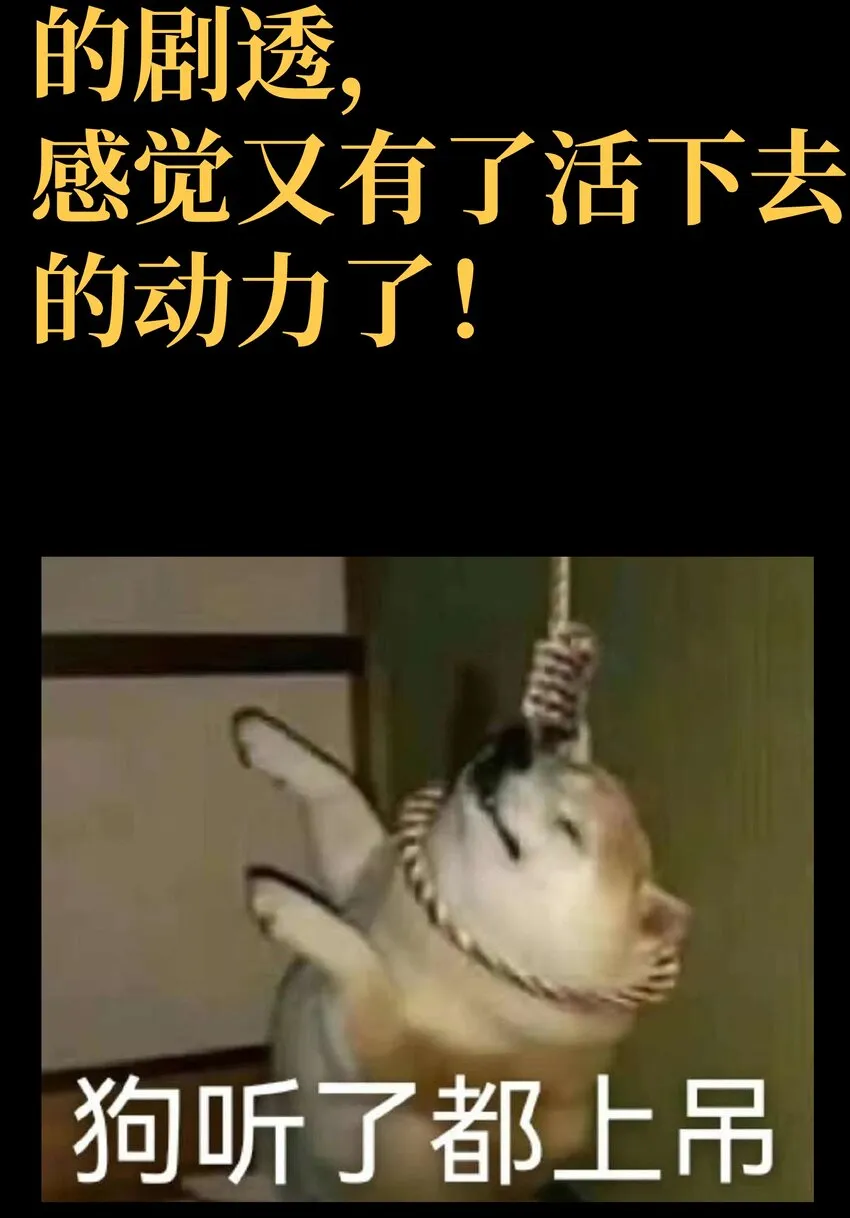 40 超幸运玩家 第95页