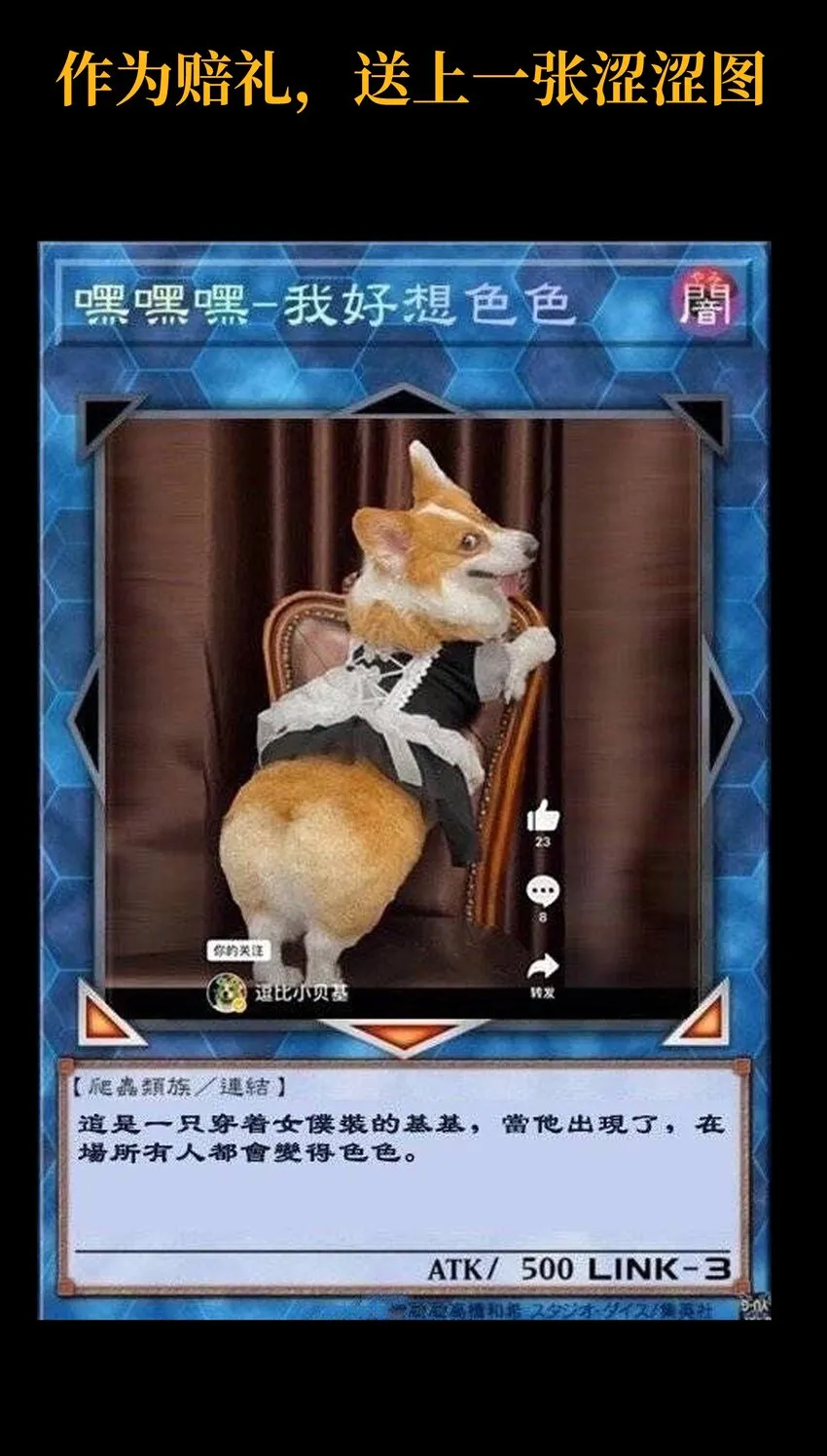 谢罪 公告 第3页