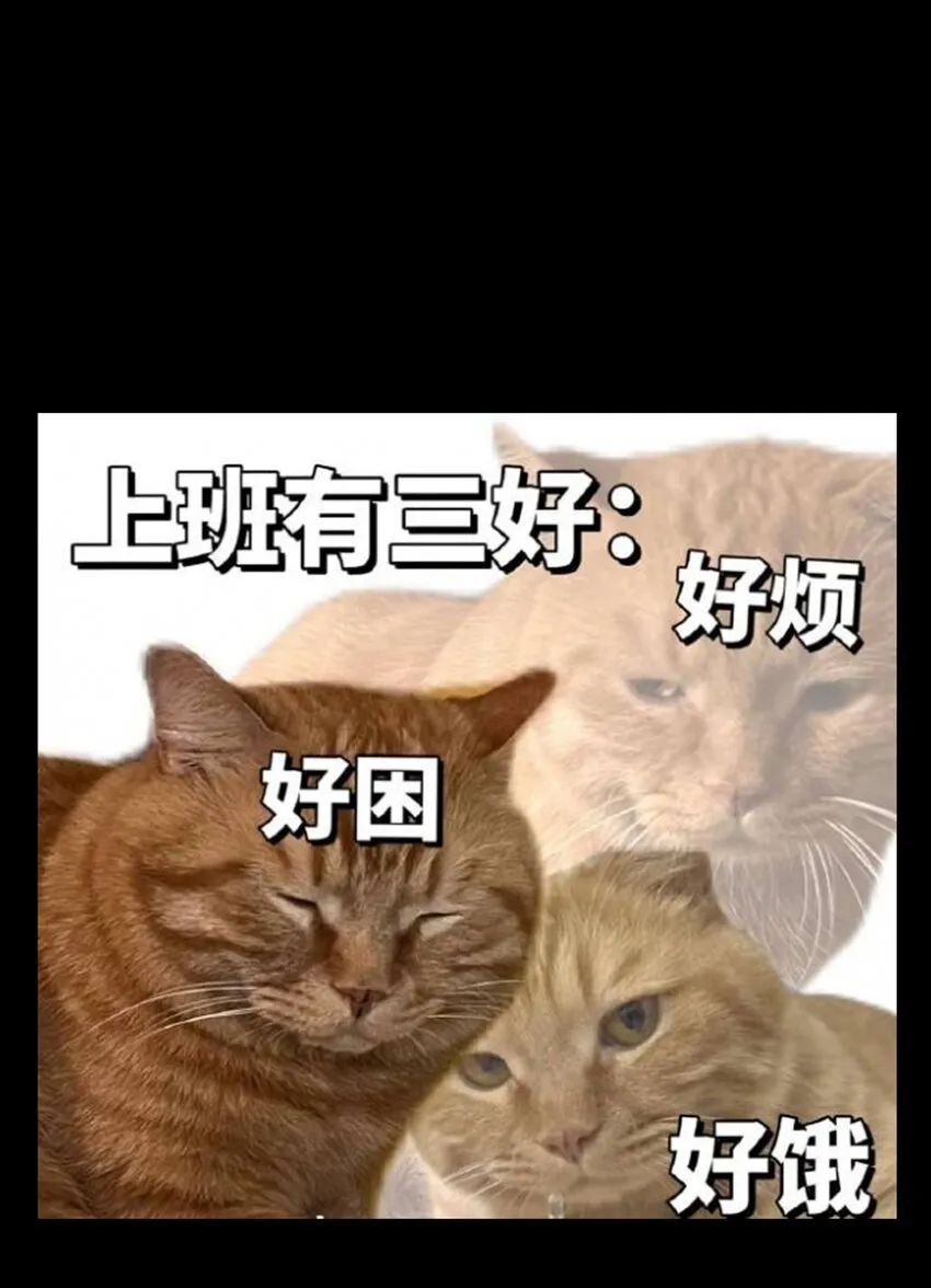 53 你猜 第86页