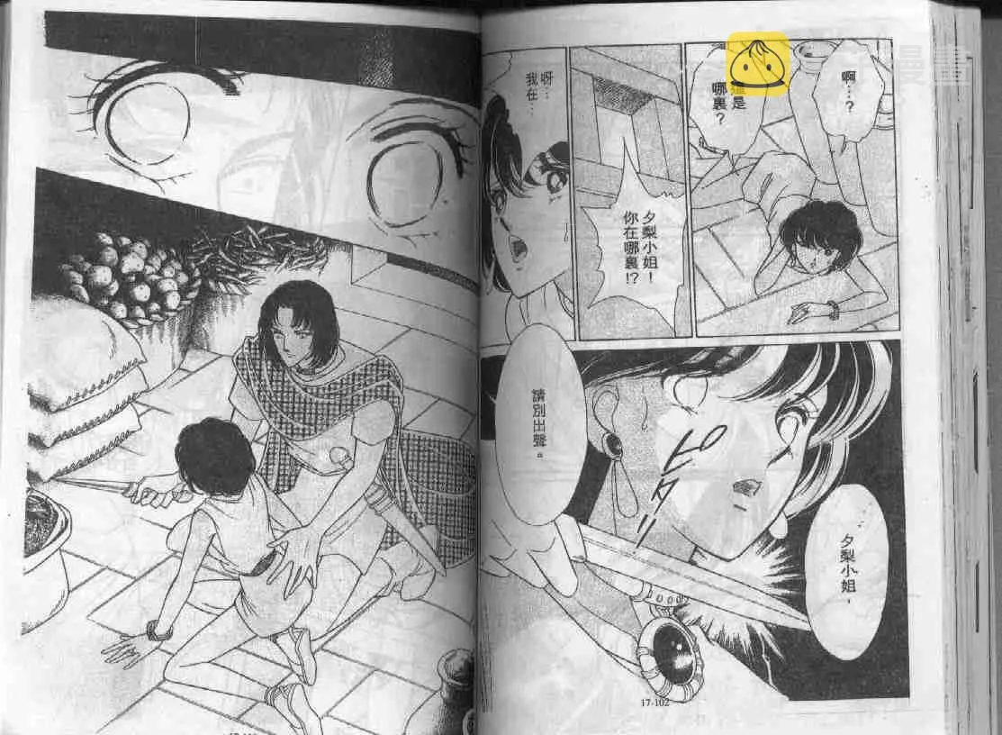 第17卷 第51页