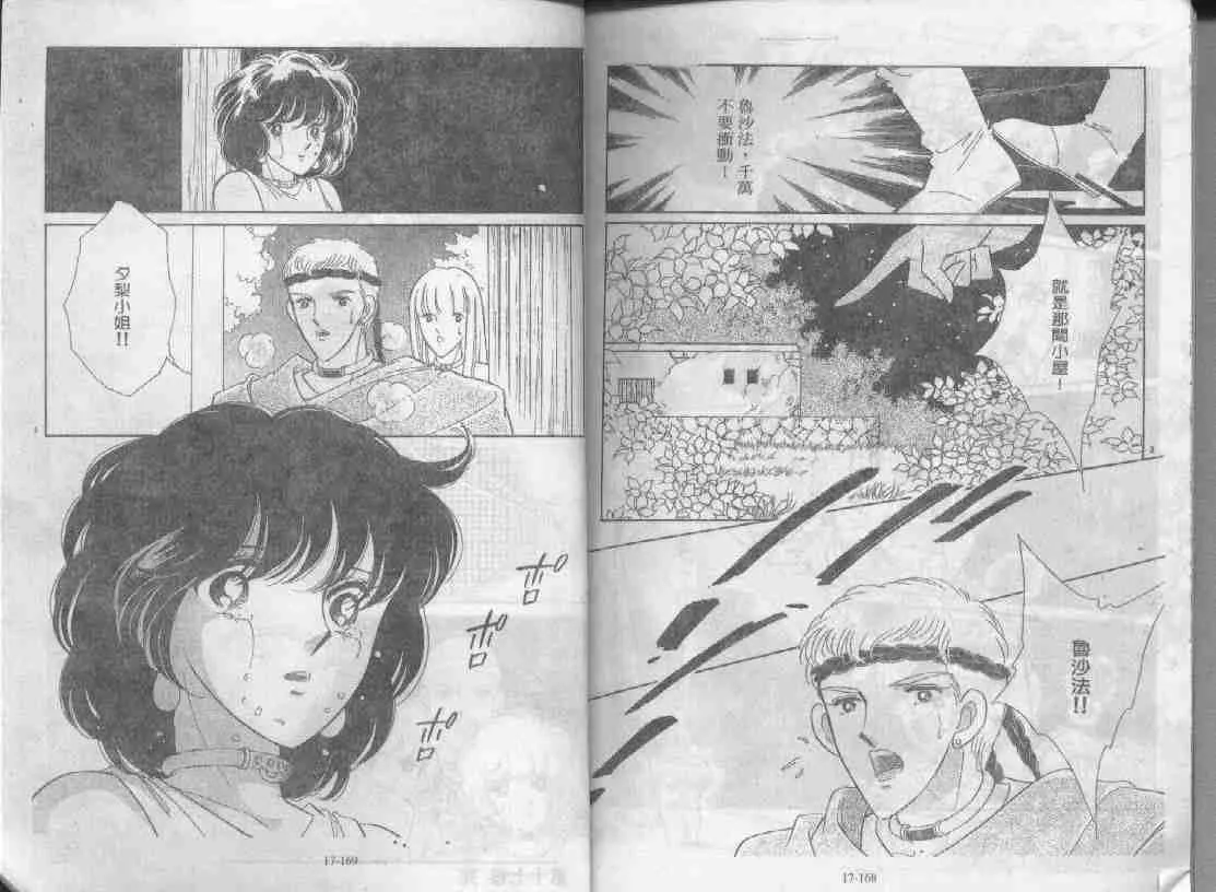 第17卷 第81页