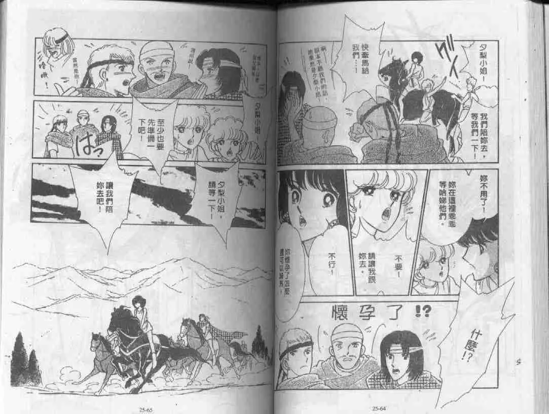 第25卷 第31页