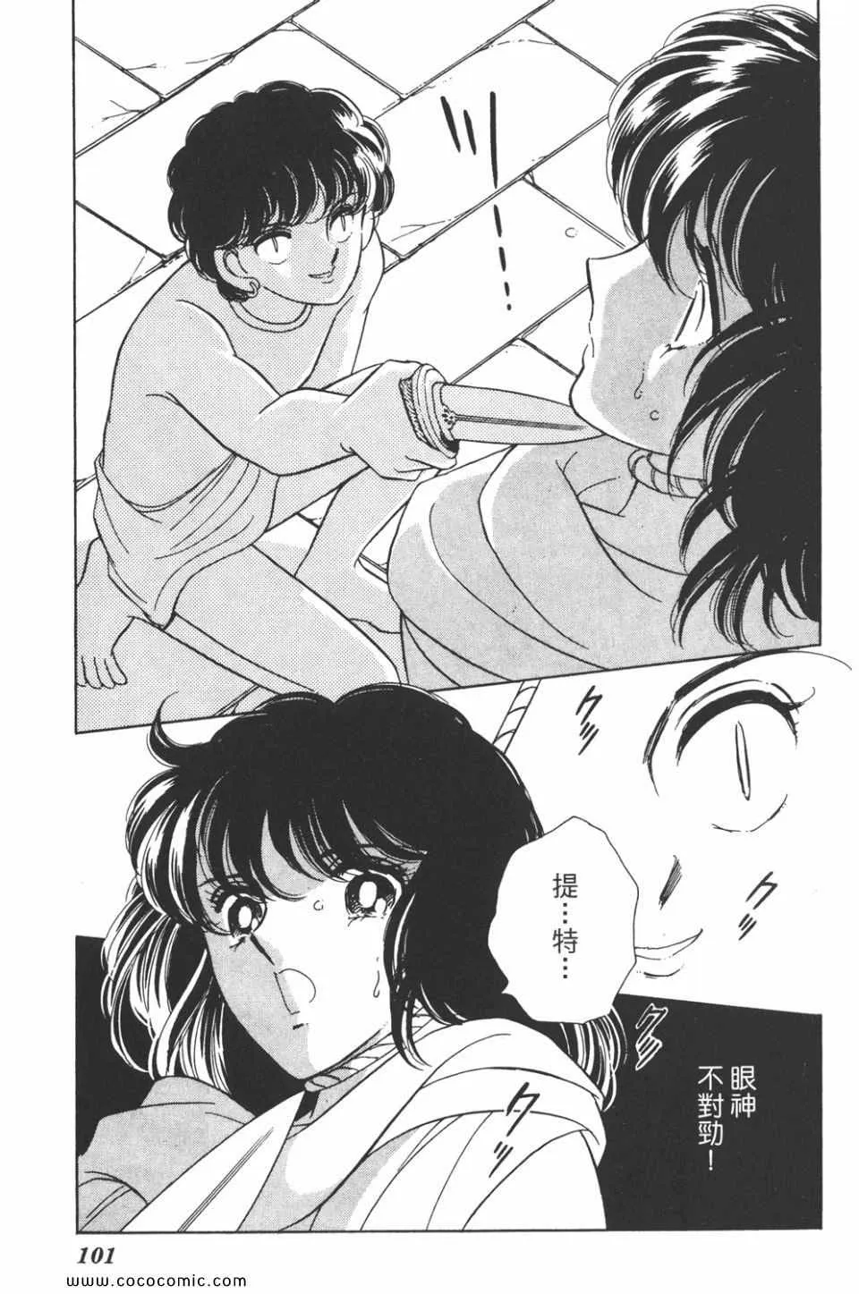 第31卷 第101页