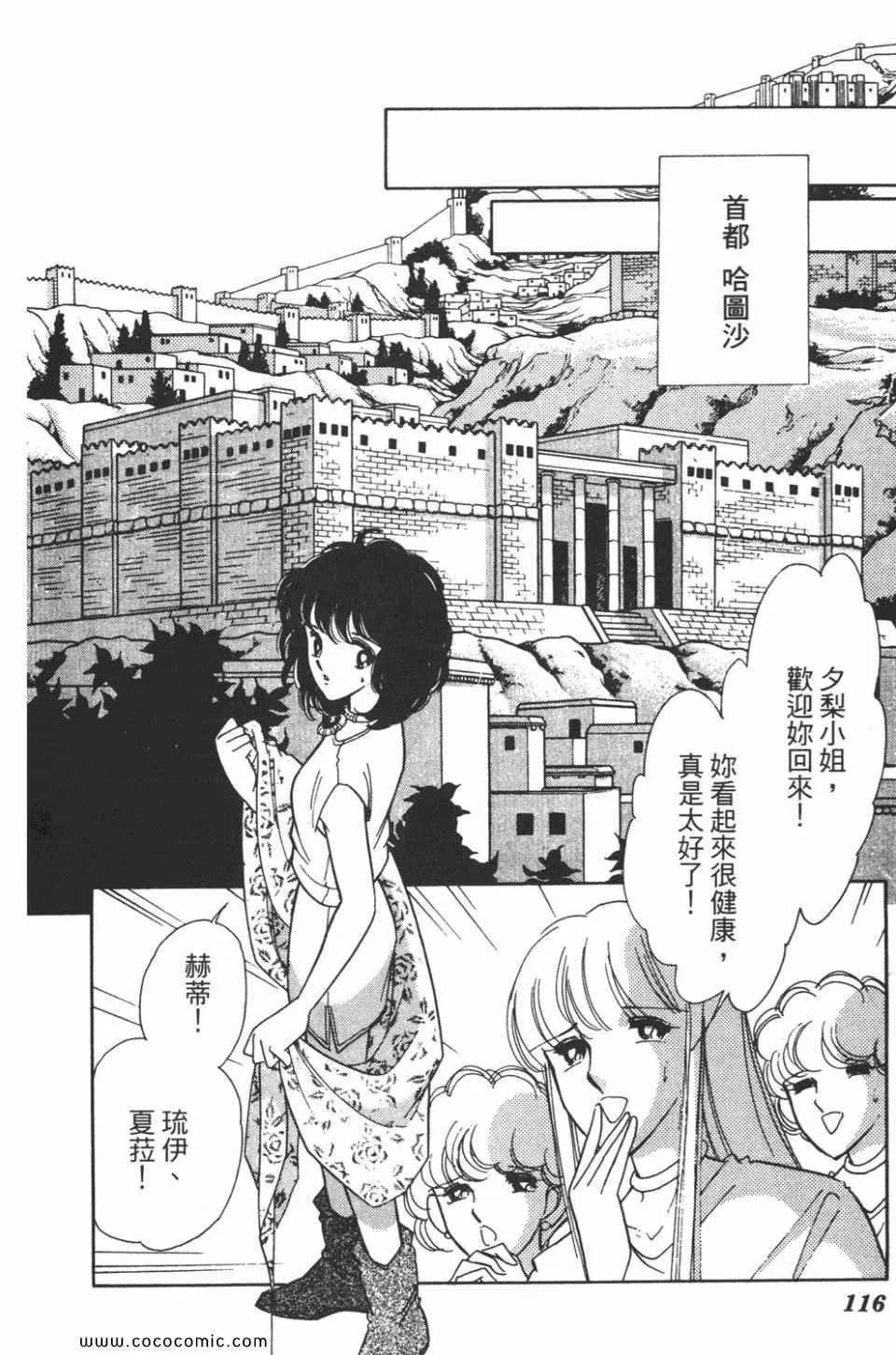 第39卷 第116页