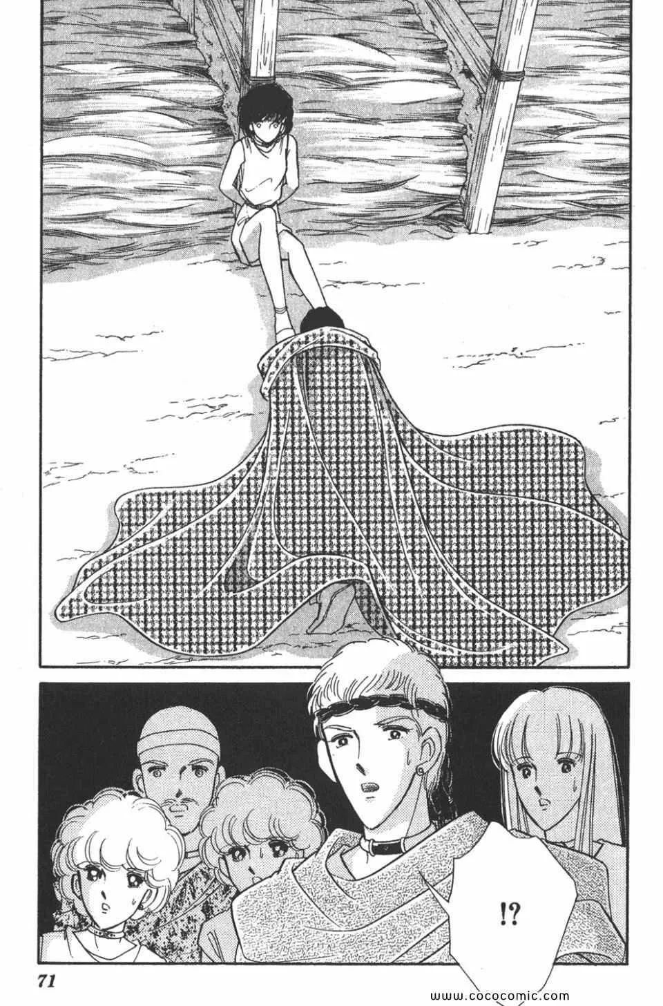 第46卷 第71页