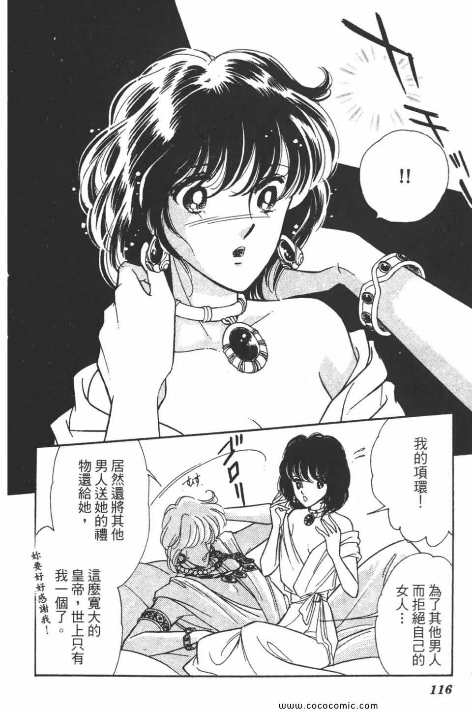 第46卷 第116页