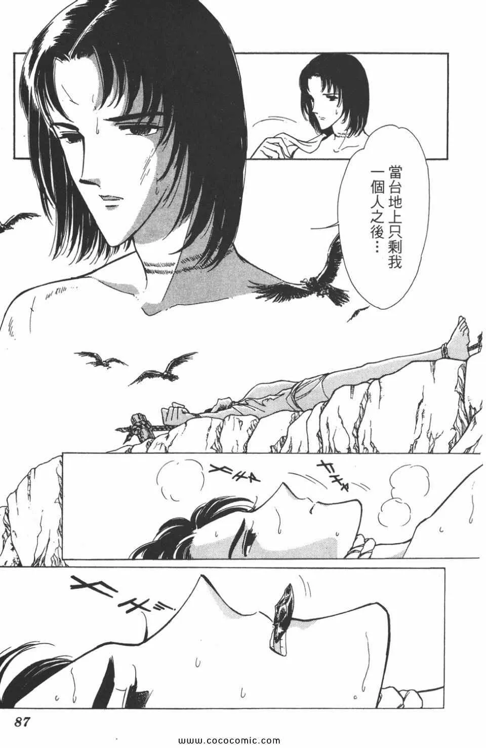 第47卷 第87页