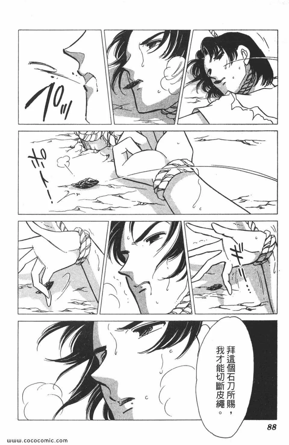 第47卷 第88页