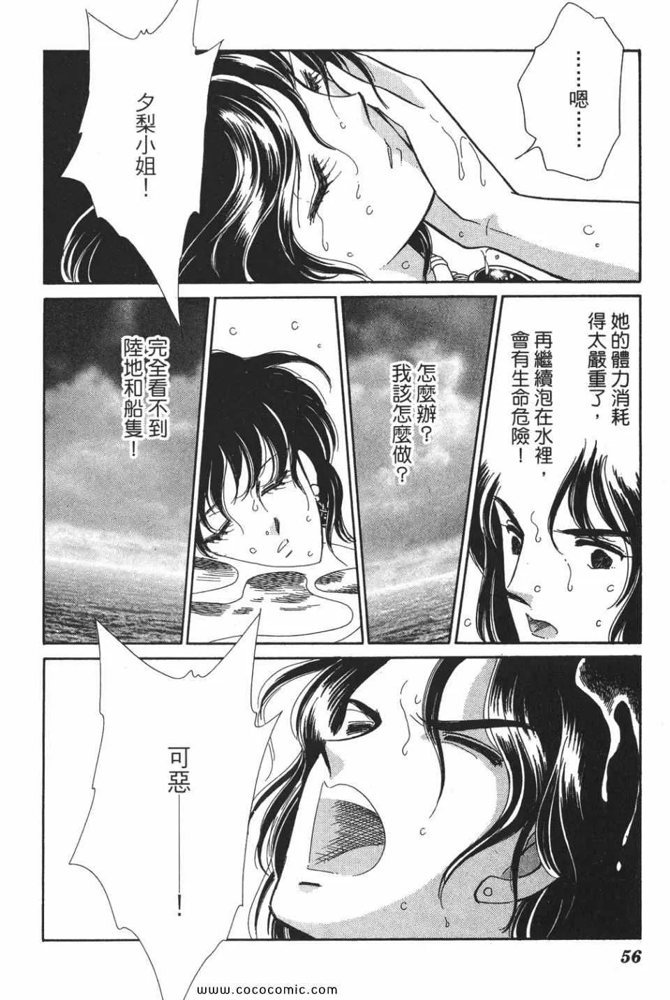 第49卷 第56页