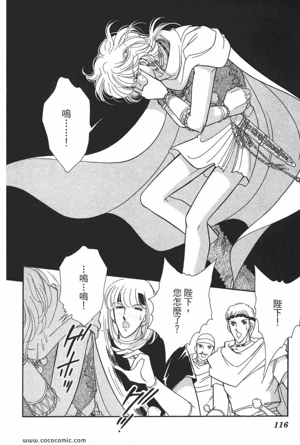第49卷 第116页