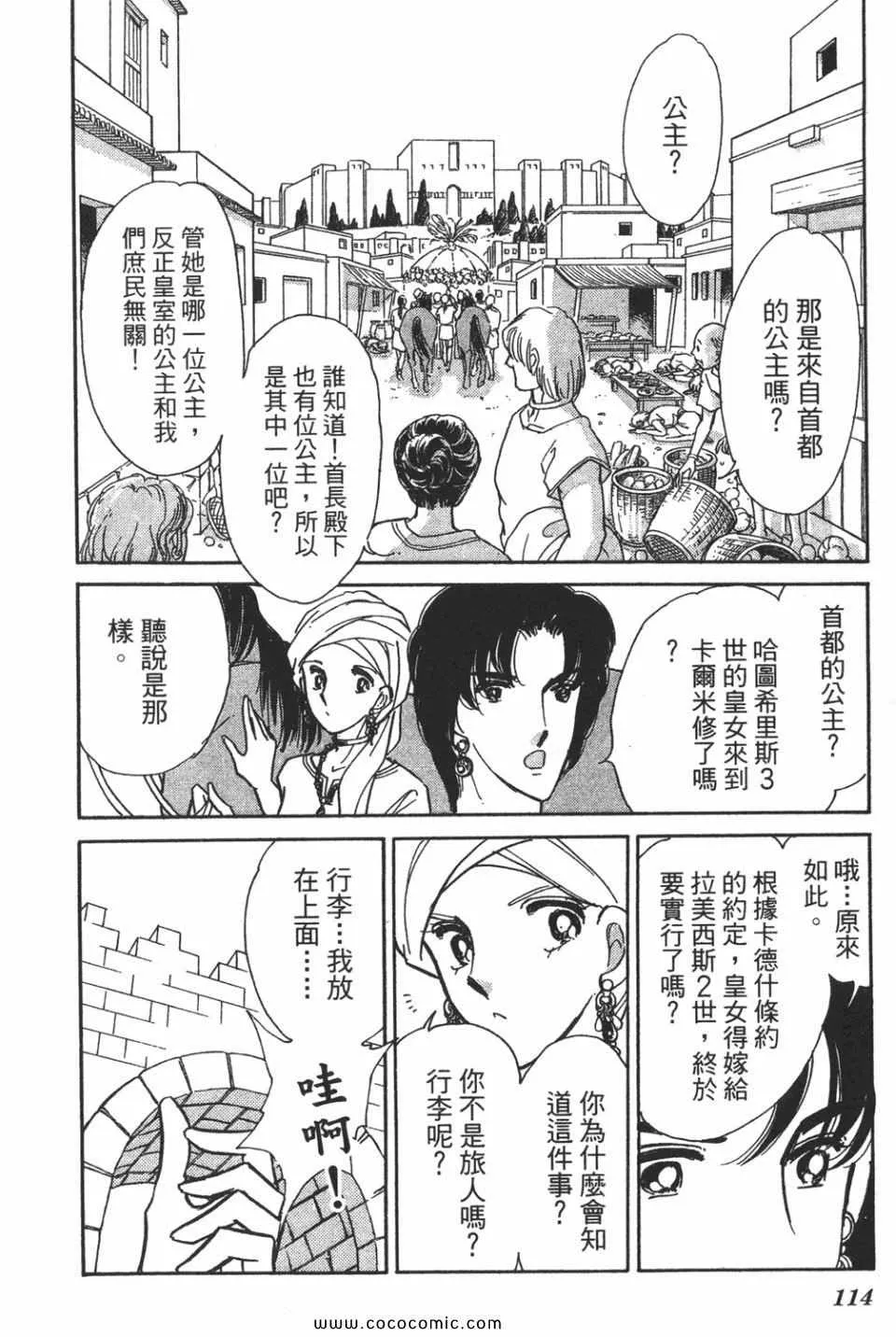 第58卷 第116页