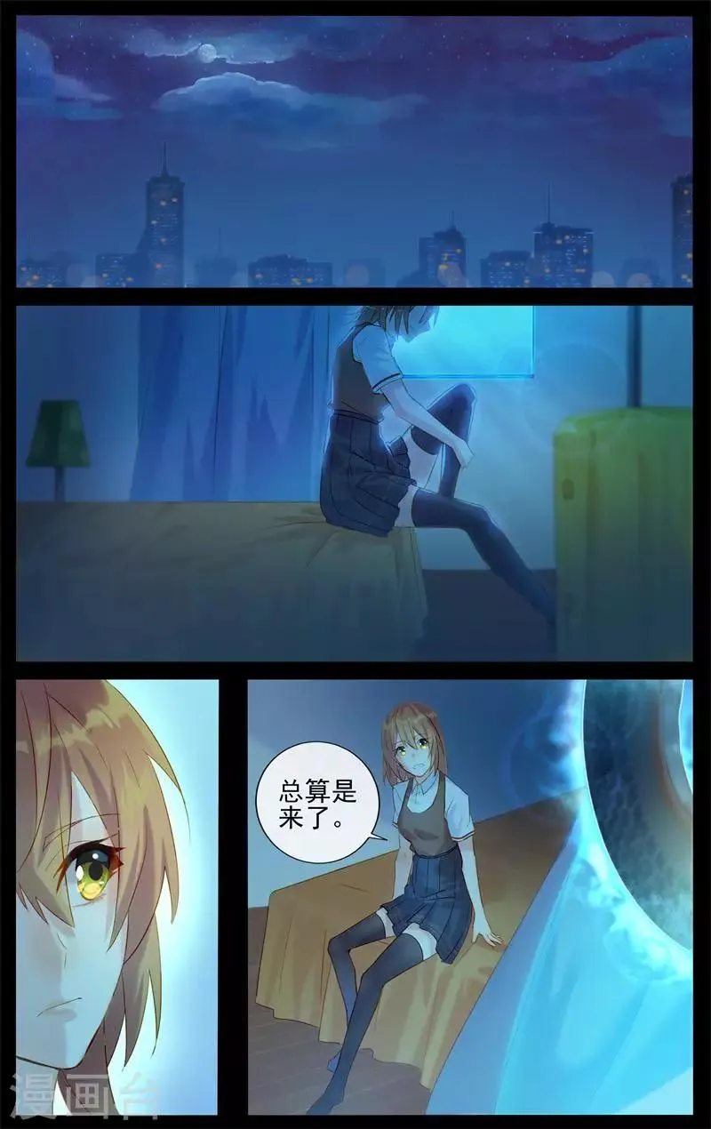 第5话 大喜事 第4页