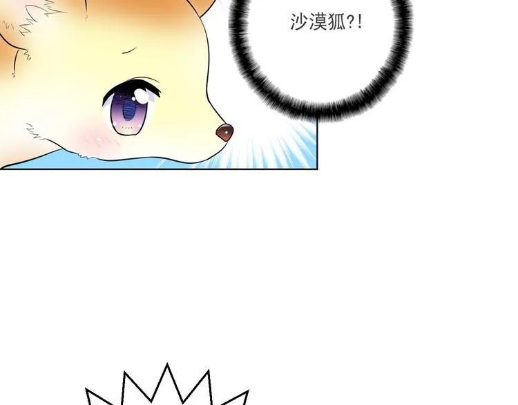 第3话 超可爱的狐狸非要黏着我 第13页