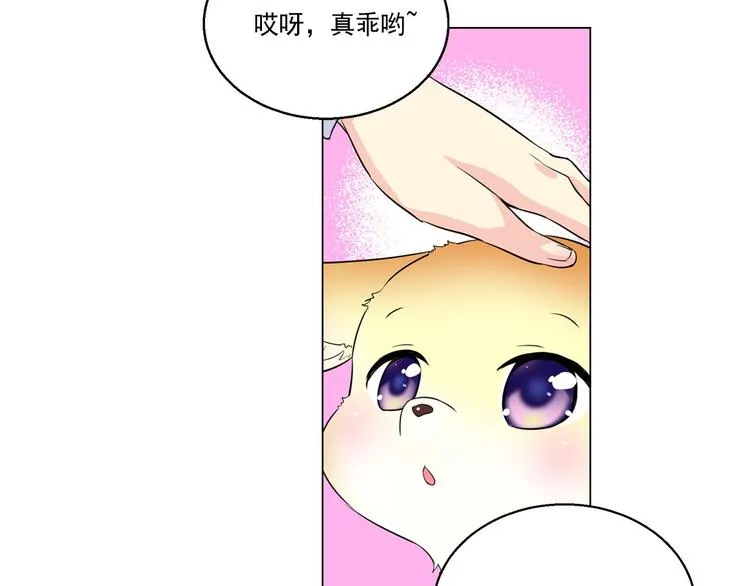 第3话 超可爱的狐狸非要黏着我 第24页