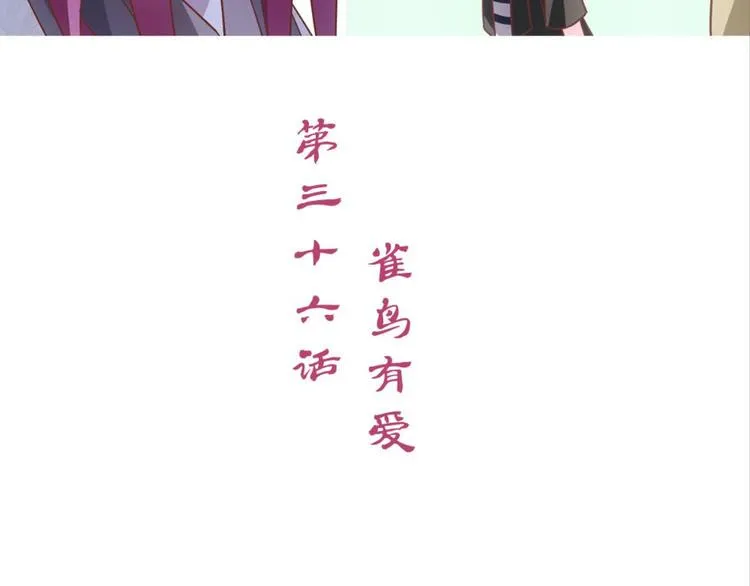 第36话：雀鸟有爱 第3页
