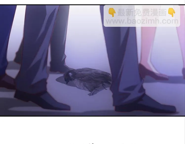 第35话：雀鸟有恨 第13页