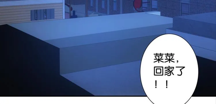 第31话：猫雀之争——寻猫婆婆 第8页