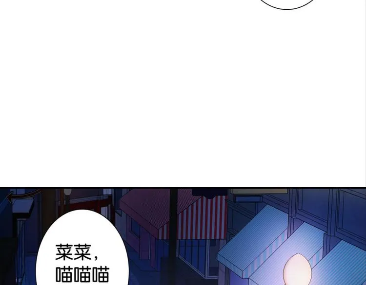 第31话：猫雀之争——寻猫婆婆 第9页