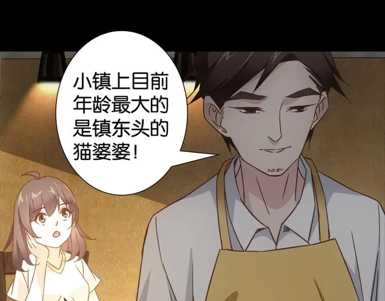 第31话：猫雀之争——寻猫婆婆 第37页