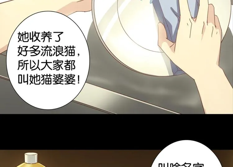 第31话：猫雀之争——寻猫婆婆 第40页